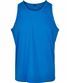 Cobalt Blue