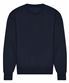 New French Navy