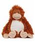 Orange Orangutan