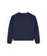 French Navy